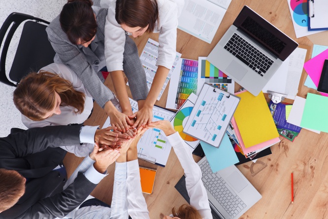 Specialized SEO Team